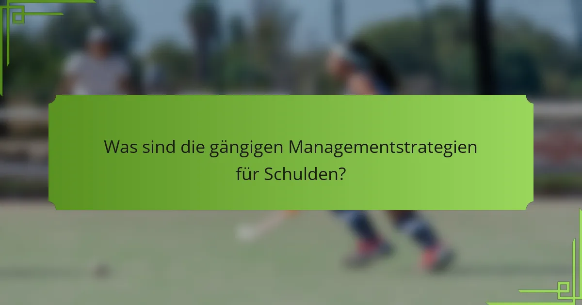 Was sind die gängigen Managementstrategien für Schulden?