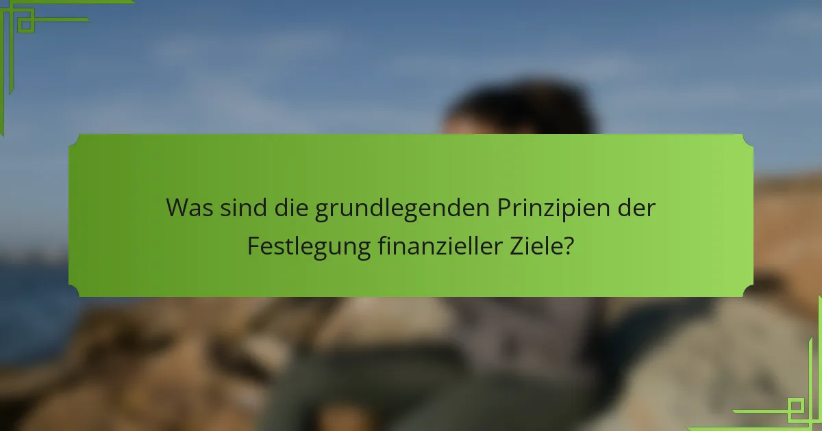 Was sind die grundlegenden Prinzipien der Festlegung finanzieller Ziele?