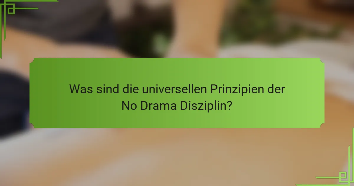Was sind die universellen Prinzipien der No Drama Disziplin?