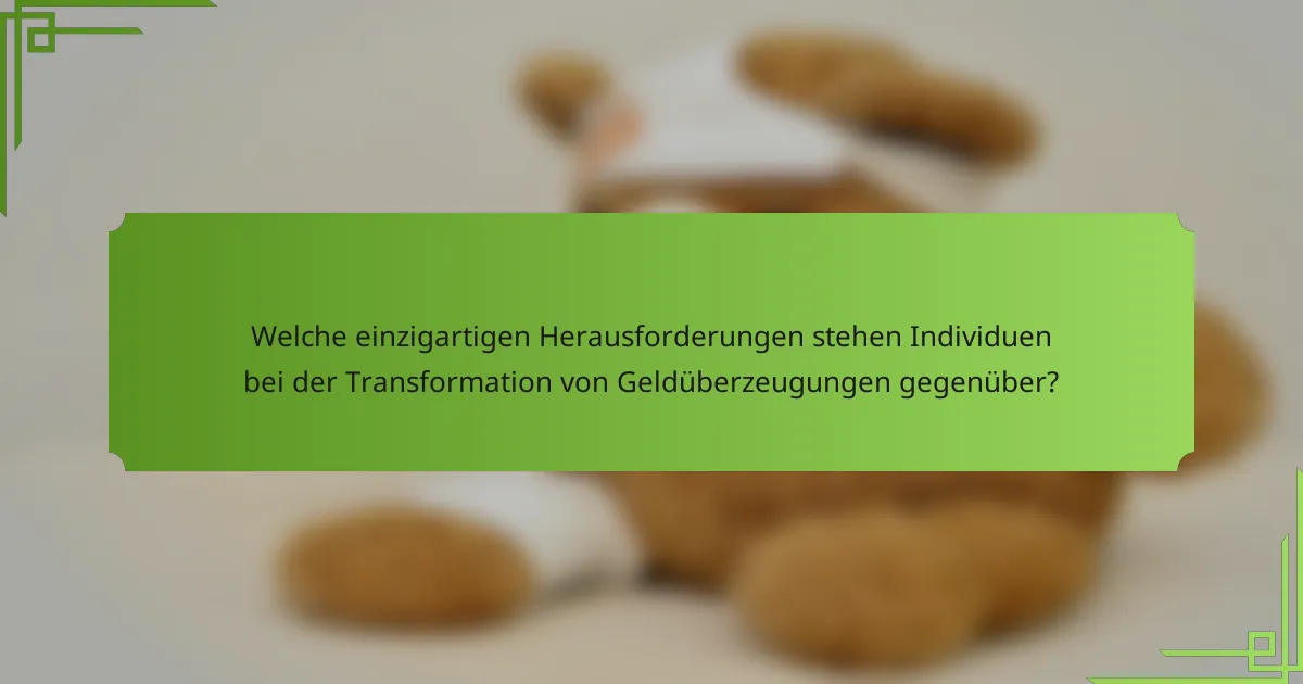 Welche einzigartigen Herausforderungen stehen Individuen bei der Transformation von Geldüberzeugungen gegenüber?