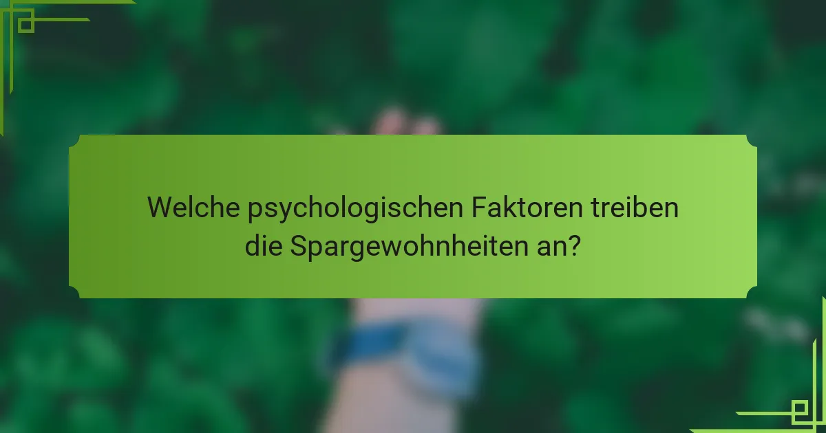 Welche psychologischen Faktoren treiben die Spargewohnheiten an?